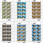 PRE-ORDER Observatorio de aves de Alderney