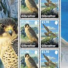 Gibilterra – Liechtenstein Emissione Congiunta - Falchi Pellegrini