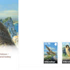 Gibilterra – Liechtenstein Emissione Congiunta - Falchi Pellegrini