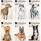 PRE-ORDER Chiens