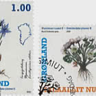 Greenlandic Plants - Part II