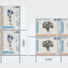 Greenlandic Plants - Part II - Lower Marginal