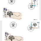 Greenlandic Plants - Part II