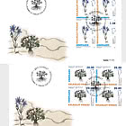 Greenlandic Plants - Part II