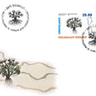 Greenlandic Plants - Part II