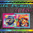 Animali Selvaggi d’Africa