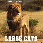 Large Cats of The World