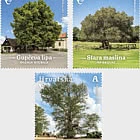 Флора Хорватии - Монументальные деревья Хорватии (C)