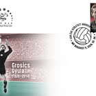 Gyula Grosics est né il y a 100 Ans