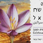 ATM - Un Essor dans le Sud