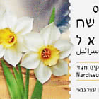 Geldautomat – Aufblühen im Süden