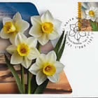 Geldautomat – Aufblühen im Süden