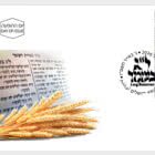 Lag BaOmer