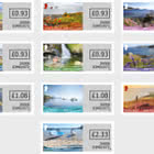 Wild Guide Isle of Man - Self-Adhesive Set