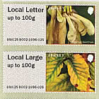 Post & Go - Autumn Colours