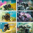 Jerseys Bestäuber – Bienen