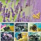 Jerseys Bestäuber – Bienen