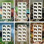 PRE-ORDER Fauna Autóctona de la isla