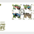 PRE-ORDER Fauna Autóctona de la isla
