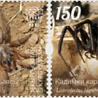 Arañas de Kirguistán