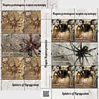 Пауки Кыргызстана