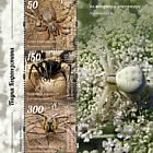 Пауки Кыргызстана