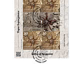 吉尔吉斯斯坦的蜘蛛