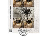 吉尔吉斯斯坦的蜘蛛