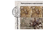 吉尔吉斯斯坦的蜘蛛