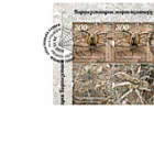 吉尔吉斯斯坦的蜘蛛