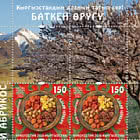 Попробуй Кыргызстан - Баткенский абрикос