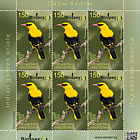Birds of Kyrgyzstan - The Indian Golden Oriole