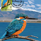 Birds of Kyrgyzstan - The Common Kingfisher