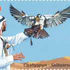 30th Anniversary of Diplomatic Relations of Kyrgyzstan with UAE - Falcon Hunting