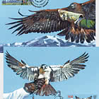 30th Anniversary of Diplomatic Relations of Kyrgyzstan with UAE