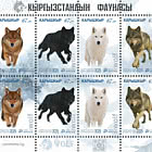 吉尔吉斯斯坦的动物群——狼