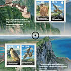 Junge Wanderfalken – Migration Damals und Heute