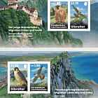 Junge Wanderfalken – Migration Damals und Heute