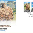 Junge Wanderfalken – Migration Damals und Heute