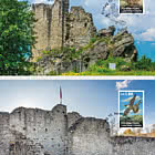 Junge Wanderfalken – Migration Damals und Heute