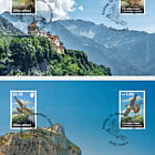 Junge Wanderfalken – Migration Damals und Heute