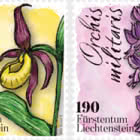 Orchideen