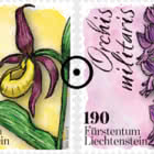 Orchids