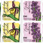 Orchids