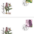 Orchids