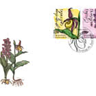 Orchids