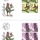 Orchids