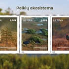 Feuchtgebiet-Ökosystem