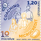 10 лет Microlux