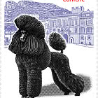 Exposition Canine Internationale